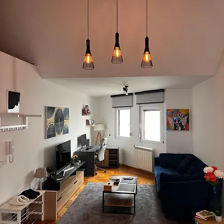 Penthouse With Garage Apartment Belgrade